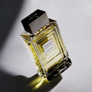 Hommage à l'Homme  Lalique